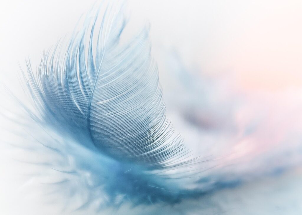 feather, ease, nature background, slightly, blue, airy, close up, featherweight, beautiful nature, flying, hd wallpaper, wind, lightweight, nature, ostrich feather, fluffy, swing, float, nature wallpaper, cool wallpaper